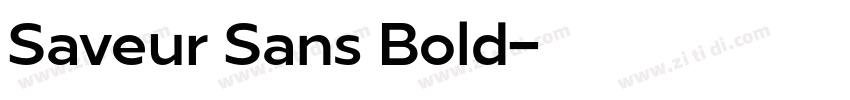 Saveur Sans Bold字体转换